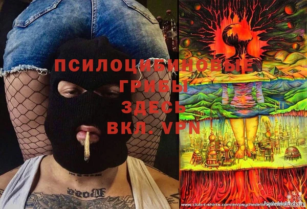 ешки Арсеньев