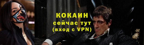 ешки Арсеньев