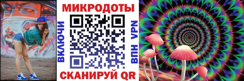 нарко площадка какой сайт ссылка на мегу tor Сураж Псилоцибиновые грибы Cubensis