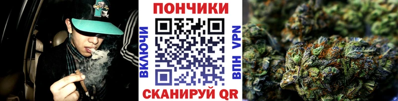 Каннабис конопля Сураж